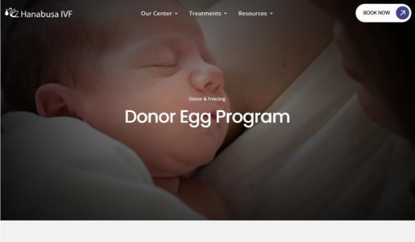 Hanabusa IVF 公式サイト画像